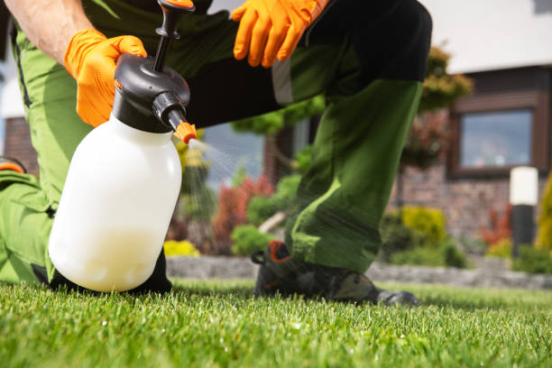 Best Wildlife Control Services  in London, KY