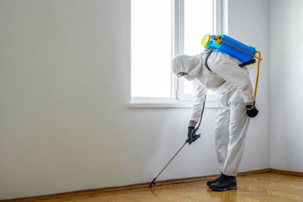 Best Pest Control Treatment  in London, KY