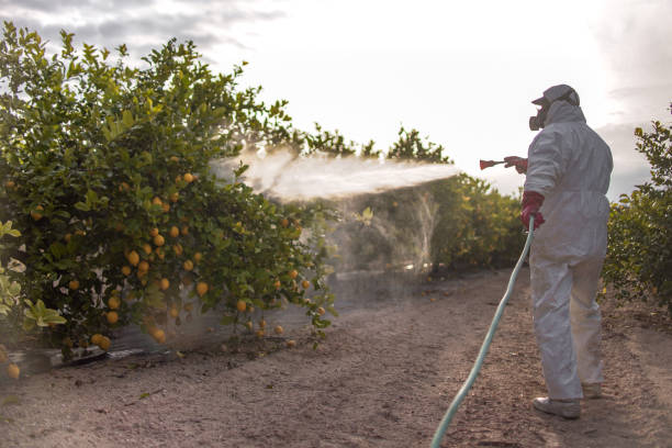 Best Mosquito Control Services  in London, KY