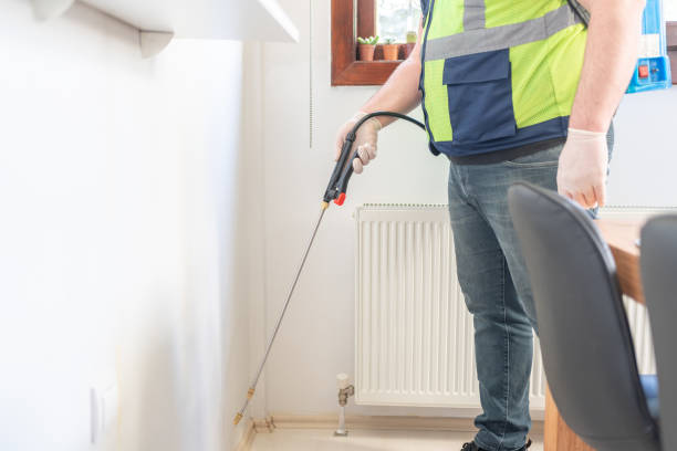 Trusted London, KY Pest Control Experts